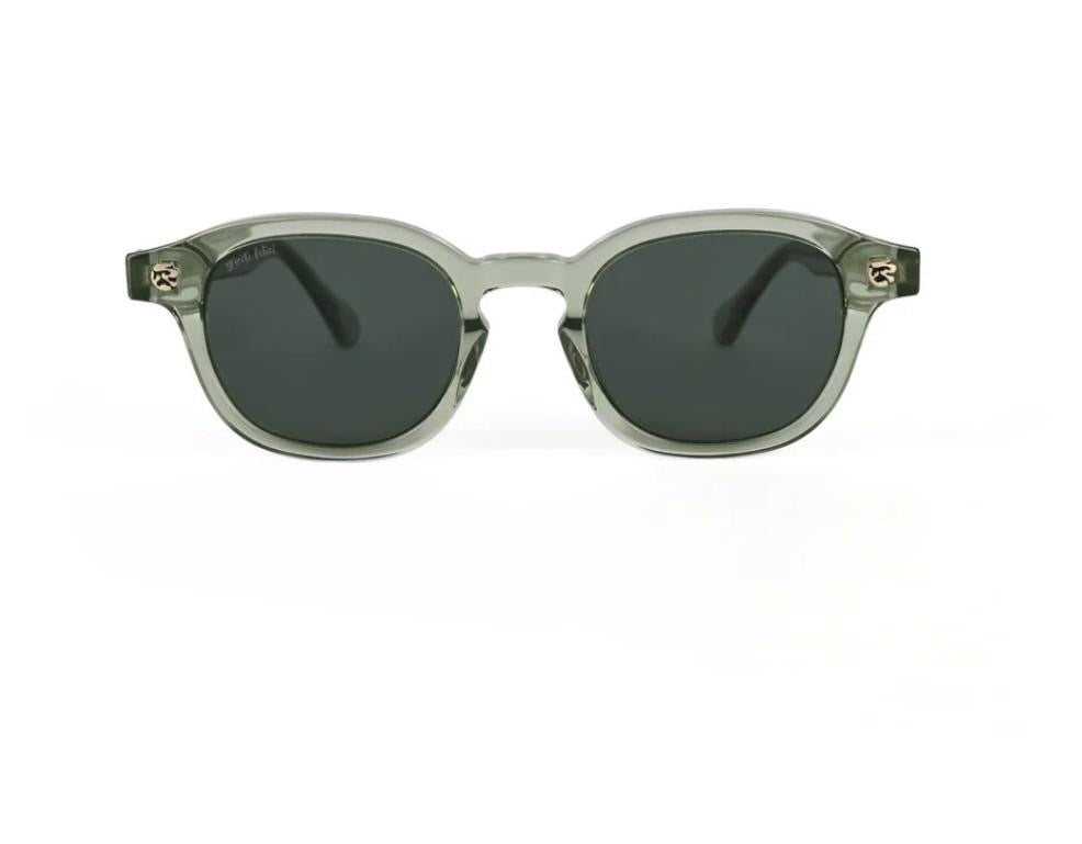 Voice Glasses